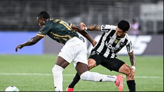Botafogo vs. Carabobo (2-0): video, resumen y goles del partido por Copa Libertadores