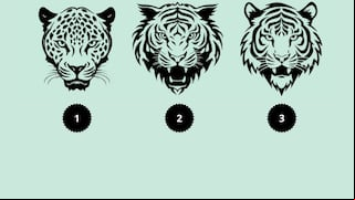 Este test visual te revelará qué sentimientos te están controlando