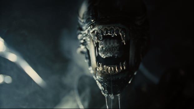 Fede Álvarez es el director uruguayo responsable de dirigir la nueva entrega de la saga "Alien".