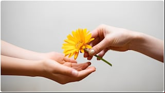 Imágenes de flores amarillas para compartir este 21 de marzo: frases, postales y mensajes