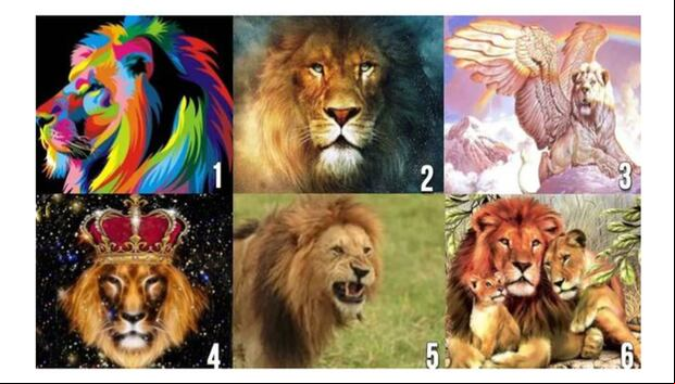 TEST VISUAL | Esta imagen te muestra bastantes leones. Elige uno. (Foto: namastest.net)