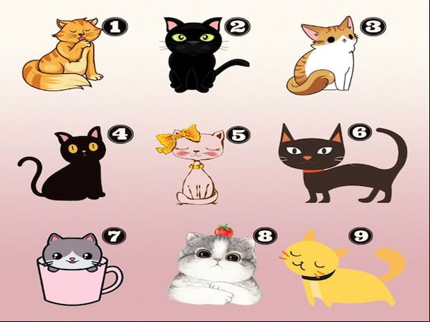 TEST VISUAL | ¿Eres un amante de los gatos? En esta prueba divertida y reveladora, te invito a explorar la conexión entre tu preferencia felina y tus rasgos ocultos de personalidad.