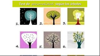Conéctate con tu naturaleza interior: elige un árbol y descubre secretos de tu personalidad