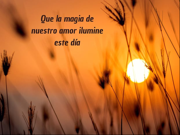 Una frase que puedes enviar a la persona amada en San Valentín. (Foto: Composición: Darwis Alwan / Pexels)