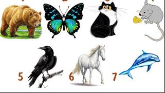 ¿Qué animal te gustaría ser? Descubre aspectos ocultos de tu identidad