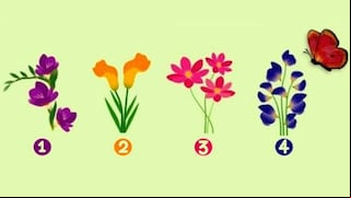 Elige una flor para descubrir qué revela sobre tu enfoque en las relaciones amorosas