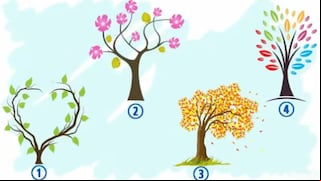 Elige un árbol para descubrir qué emoción domina tu vida actualmente