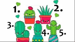 Descubre cómo eres con este test visual: solo tienes que escoger un cactus