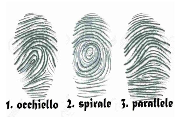 La forma del espiral de tu huella dactilar mostrará tu fortaleza mental. (Foto: Genial.Guru)