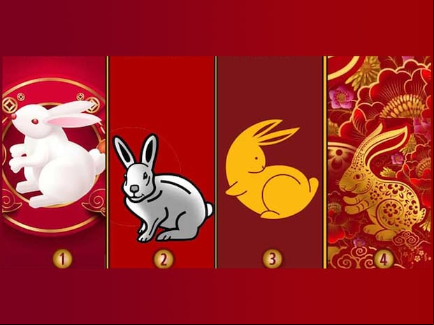 TEST VISUAL | El conejo que elijas revelaría para qué estás destinado este año
