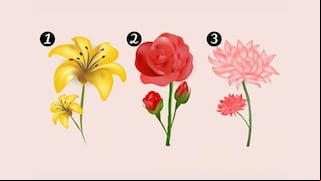 Elige una flor para escucha el mensaje de tu ángel de la guarda
