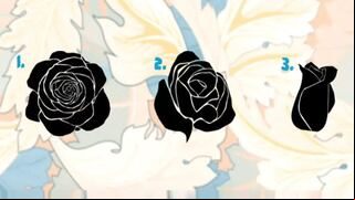 Conoce si estás preparado para iniciar una relación sentimental con solo escoger una rosa negra