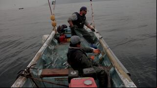 Bono Pescador 2024: a quiénes beneficia, nuevas incorporaciones y lista de requisitos