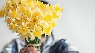¿Por qué regalan flores amarillas el 21 de marzo, significado y a quiénes les entregan?