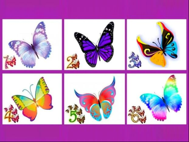 TEST VISUAL | Esta imagen te muestra seis mariposas. Escoge una. (Foto: namastest.net)