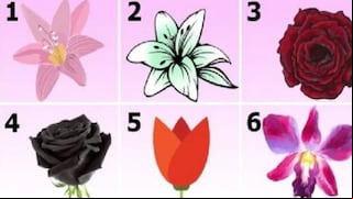 ¿Cuál es tu flor favorita? Responde para que tu verdadera personalidad sea revelada