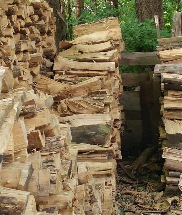 Encuentra al gato oculto entre la madera ¡Tienes solo 10 segundos para hacerlo! (Foto: GenialGuru)