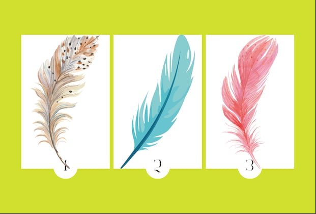 Test visual: Solo tienes que observar la imagen y elegir la pluma que más te atrae. Cada elección revela algo único sobre tu forma de ser y tus sueños. (Depor)