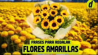 Frases para acompañar con flores amarillas el 21 de marzo: mensajes, imágenes y origen