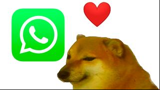 Mira los memes de Cheems para enviar por el Día de San Valentín en WhatsApp