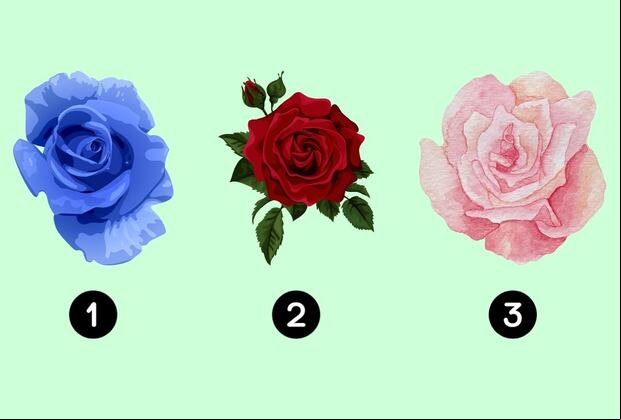 Choose one of the roses in this image to discover who your ideal partner would be (Design: Depor).