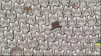 ¿Podrás encontrar al gato oculto en la imagen? Solo las personas con alto coeficiente lo consiguen