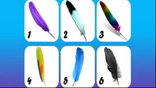 Descubrirás quién eres cuando indiques cuál es tu pluma favorita
