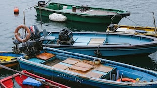Bienestar: ¿qué es el Bienpesca y quiénes pueden recibir el beneficio económico?