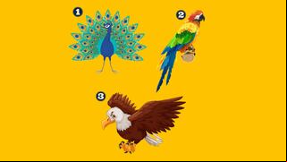 ¿Qué pájaro elegirías? Descubre la importante revelación que hará sobre ti