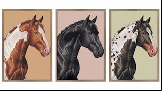 Escoge uno de los caballos en esta imagen para conocer cuál es tu talento oculto