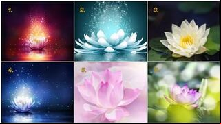 ¿Quieres saber qué decisiones tomar en tu vida actual? Elige una flor de loto y recibe una guía personalizada