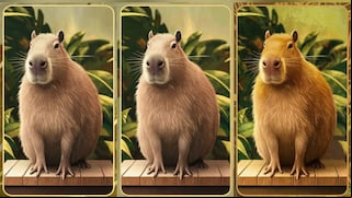 Choose one of the capybaras in the image to find out what type of personality you have