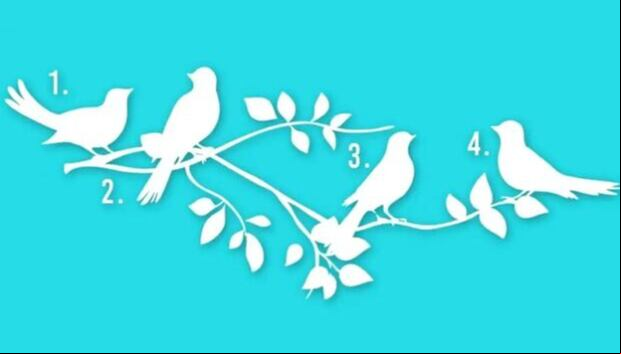 TEST VISUAL | Esta imagen te muestra cuatro pájaros. Debes escoger uno. (Foto: namastest.net)