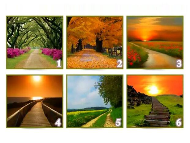 TEST VISUAL | Esta imagen te muestra varios caminos. Elige uno. (Foto: namastest.net)