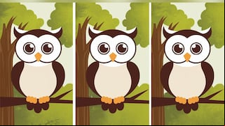 Choose one of the three owls in this image to discover how intelligent you are