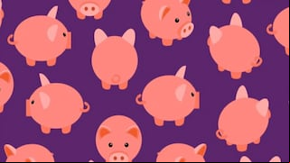 Reto visual: ¿puedes decir cuántos cerditos diferentes hay en la imagen?