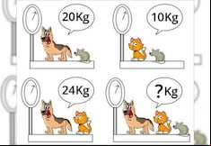 Reto matemático: Calcula el peso total de tres animales en solo 10 segundos