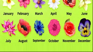 Sabrás cómo eres, según la flor que corresponde al mes de tu cumpleaños