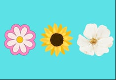 Elige una de las flores en la imagen para conocer cuál es tu mayor virtud como persona