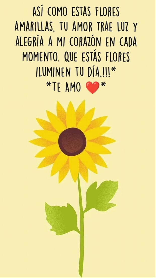 Imágenes de flores amarillas para compartir este 21 de marzo en redes sociales (Foto: Pinterest).