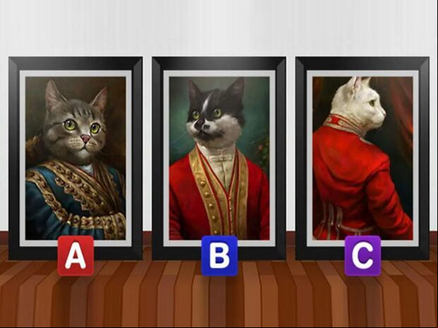 TEST VISUAL | Esta imagen muestra tres gatos. Cada uno lleva puesto un traje peculiar. (Foto: namastest.net)