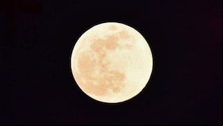 ▷ Luna de Nieve EN VIVO vía NASA TV – a qué hora VER EN DIRECTO ONLINE