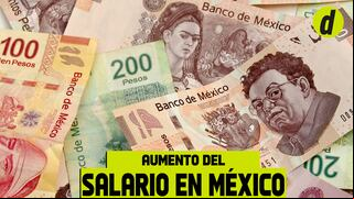 Aumento del Salario Mínimo 2024: a cuánto incrementó y para quiénes rige