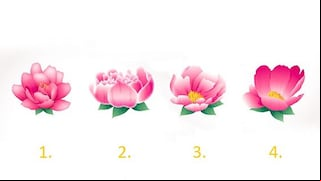 Elige una flor para revelar tu camino hacia tu paz interior
