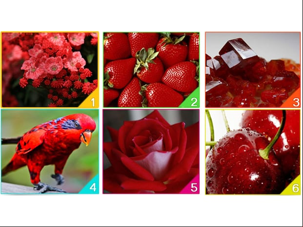 El color rojo es uno de los más llamativos y poderosos en la naturaleza, y su presencia puede evocar una amplia gama de emociones y sentimientos.