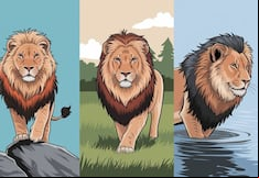 Escoge uno de los leones en esta imagen para descubrir si eres una persona posesiva
