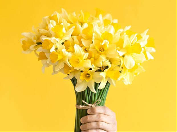 Conoce la canción que da origen a la tradición de regalar flores amarillas | Foto: freepik.es