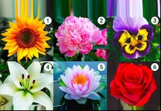 ¿Quieres conocer más sobre tu forma de ser? Elige una flor