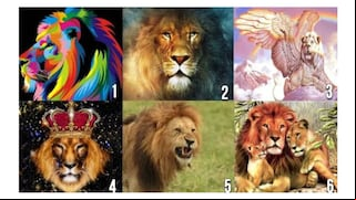 Descubrirás el tipo de pareja que necesitas con solo escoger un león