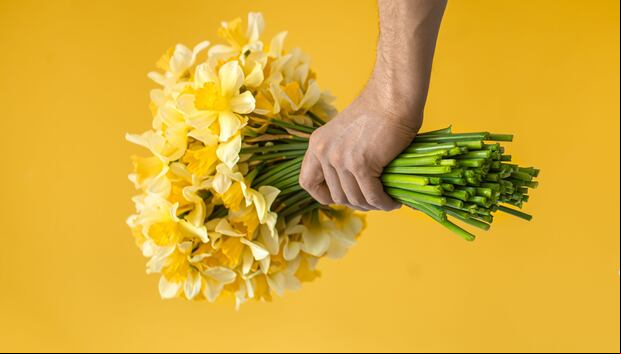 Conoce el significado de regalar flores amarillas este 21 de septiembre | Foto: https://www.freepik.es/